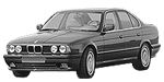 BMW E34 P1BD3 Fault Code